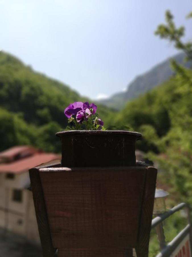 Дом Бакалски-Кмета Narechenski Bani ภายนอก รูปภาพ
