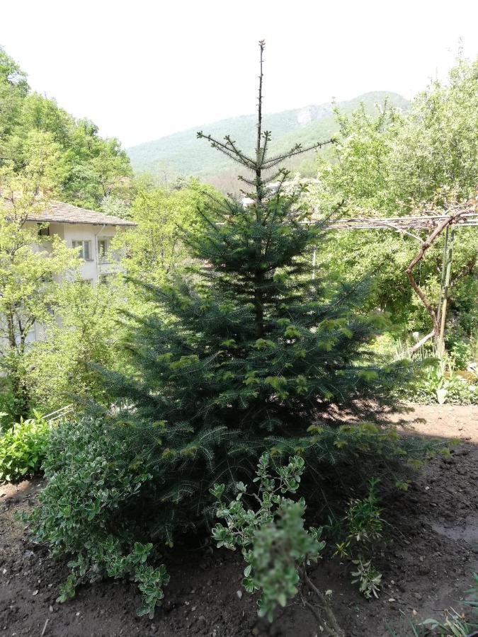 Дом Бакалски-Кмета Narechenski Bani ภายนอก รูปภาพ